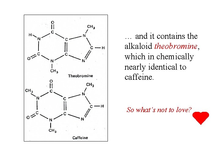 … and it contains the alkaloid theobromine, which in chemically nearly identical to caffeine.
