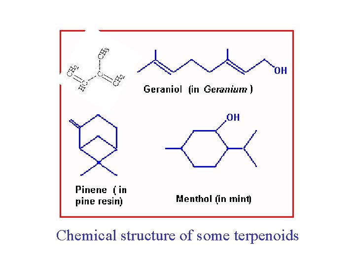 Chemical structure of some terpenoids 