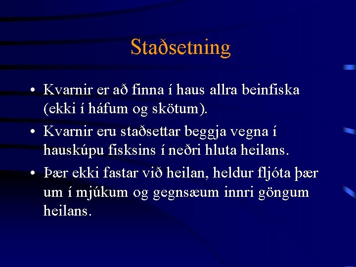 Staðsetning • Kvarnir er að finna í haus allra beinfiska (ekki í háfum og