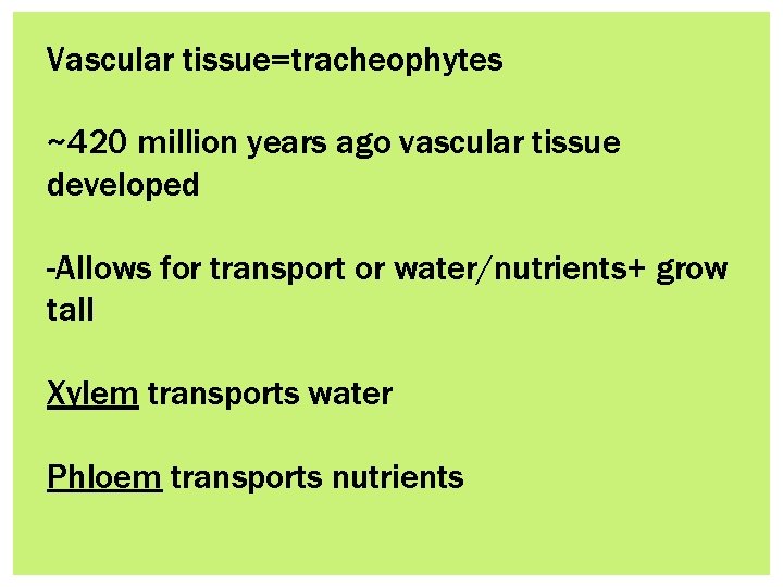 Vascular tissue=tracheophytes ~420 million years ago vascular tissue developed -Allows for transport or water/nutrients+