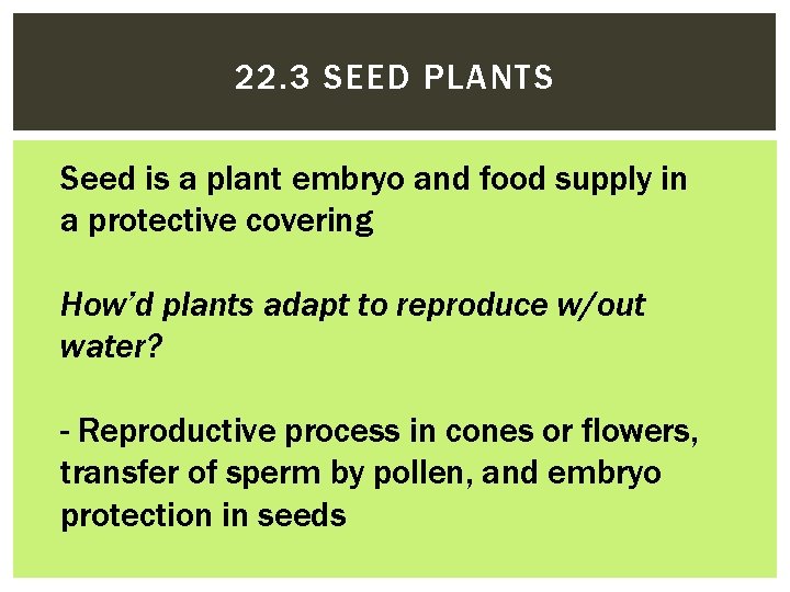 22. 3 SEED PLANTS Seed is a plant embryo and food supply in a