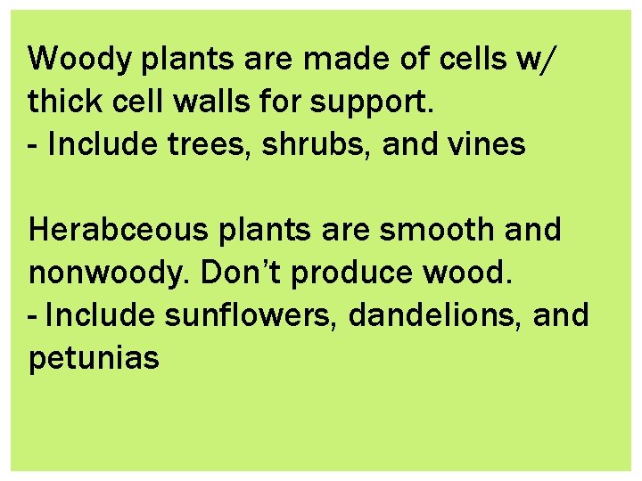 Woody plants are made of cells w/ thick cell walls for support. - Include