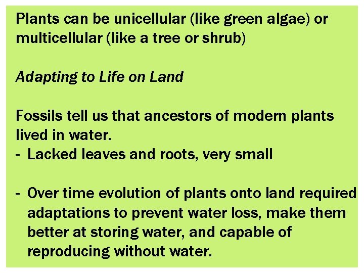 Plants can be unicellular (like green algae) or multicellular (like a tree or shrub)
