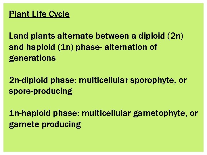 Plant Life Cycle Land plants alternate between a diploid (2 n) and haploid (1
