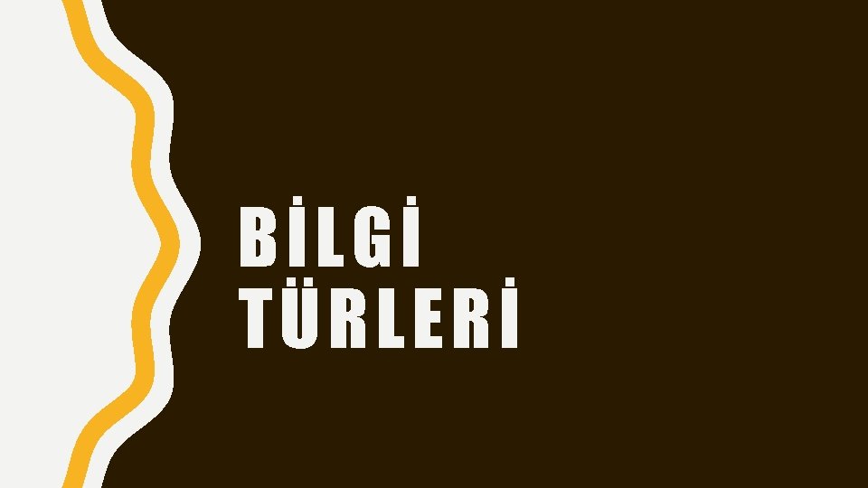 BİLGİ TÜRLERİ 