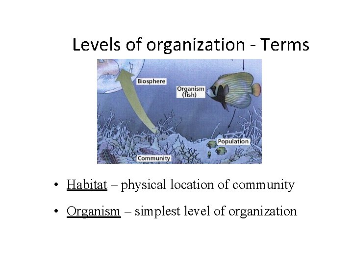 Levels of organization - Terms • Habitat – physical location of community • Organism