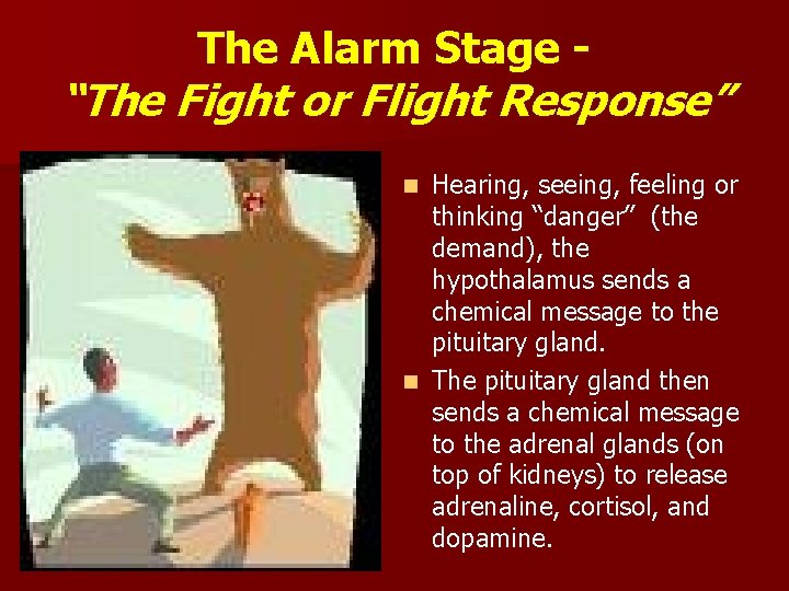 The Alarm Stage - “The Fight or Flight Response” Hearing, seeing, feeling or thinking