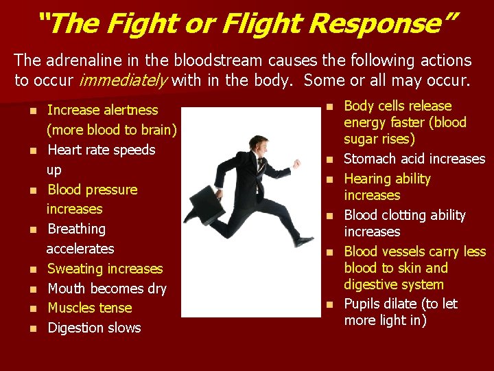 “The Fight or Flight Response” The adrenaline in the bloodstream causes the following actions