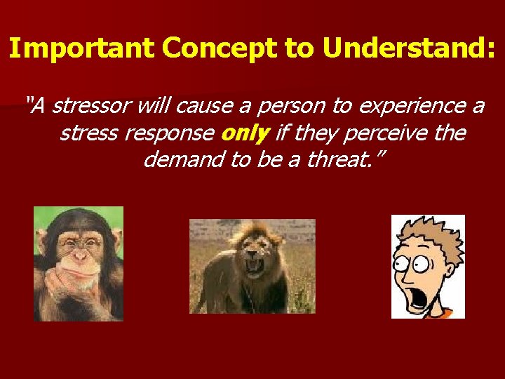Important Concept to Understand: “A stressor will cause a person to experience a stress
