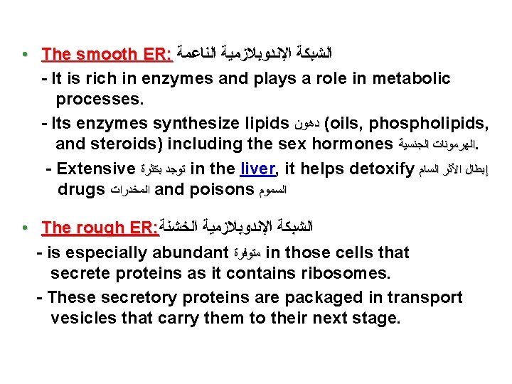  • The smooth ER: ﺍﻟﺸﺒﻜﺔ ﺍﻹﻧﺪﻭﺑﻼﺯﻣﻴﺔ ﺍﻟﻨﺎﻋﻤﺔ - It is rich in enzymes