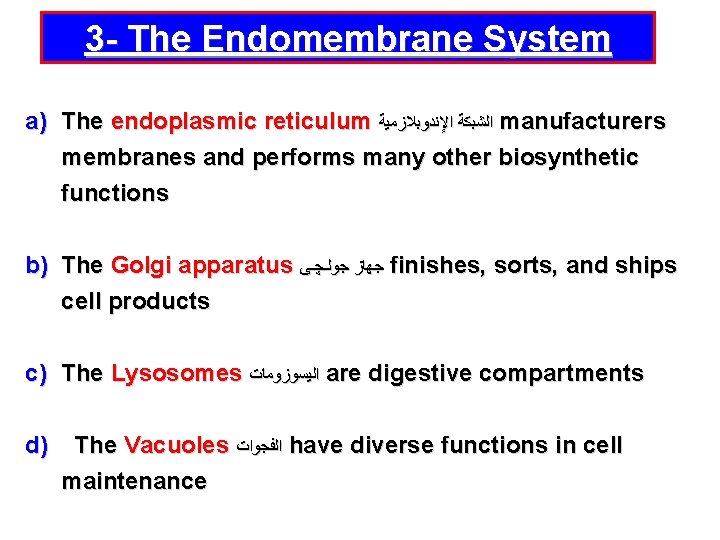 3 - The Endomembrane System a) The endoplasmic reticulum ﺍﻟﺸﺒﻜﺔ ﺍﻹﻧﺪﻭﺑﻼﺯﻣﻴﺔ manufacturers membranes and