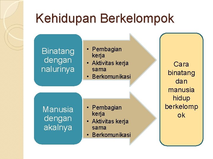 Kehidupan Berkelompok Binatang dengan nalurinya • Pembagian kerja • Aktivitas kerja sama • Berkomunikasi