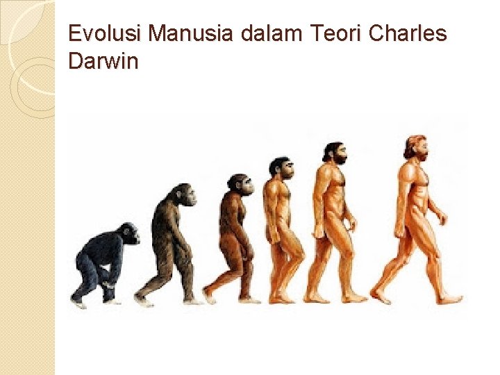 Evolusi Manusia dalam Teori Charles Darwin 