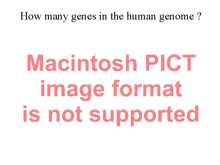 How many genes in the human genome ? 