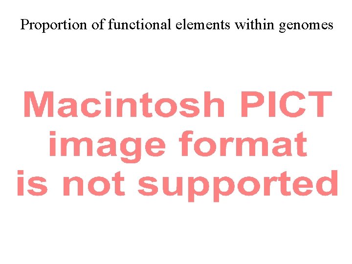 Proportion of functional elements within genomes 