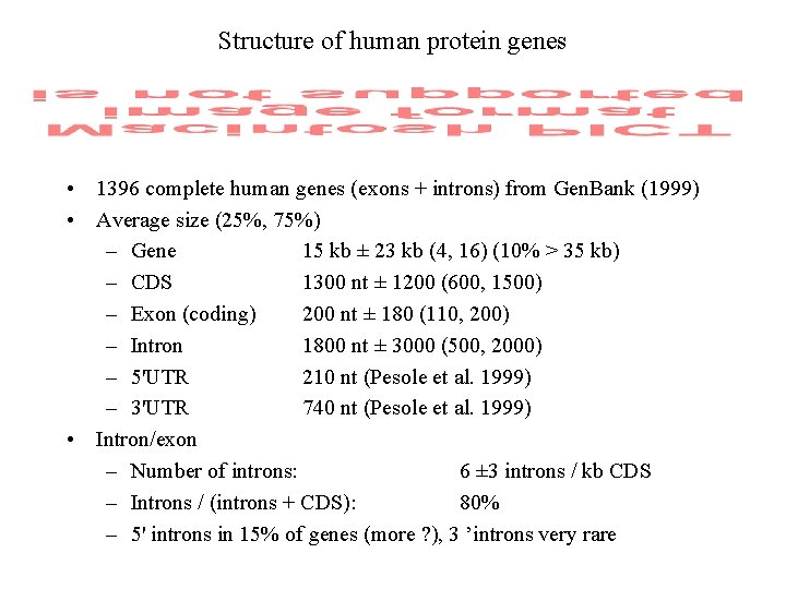 Structure of human protein genes • 1396 complete human genes (exons + introns) from