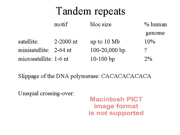 Tandem repeats motif satellite: 2 -2000 nt minisatellite: 2 -64 nt microsatellite: 1 -6