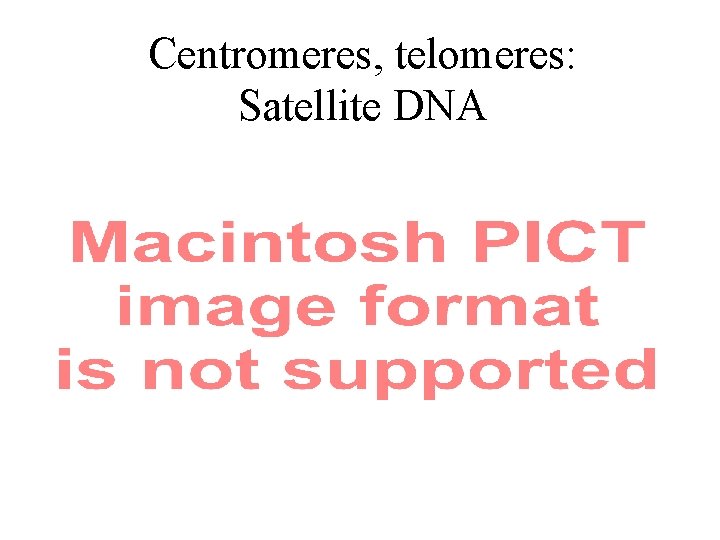 Centromeres, telomeres: Satellite DNA 