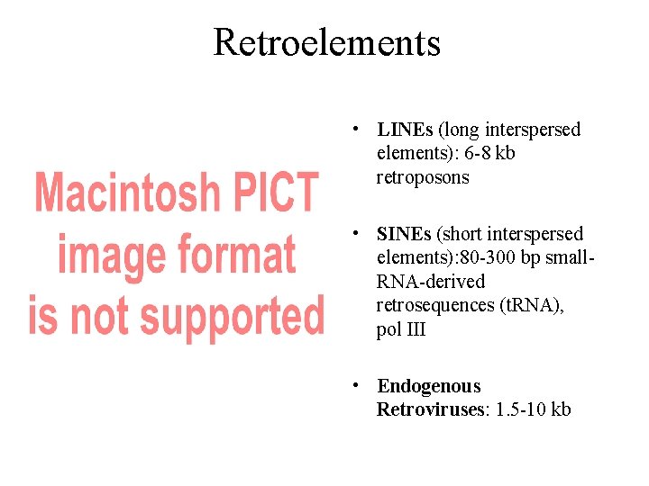 Retroelements • LINEs (long interspersed elements): 6 -8 kb retroposons • SINEs (short interspersed