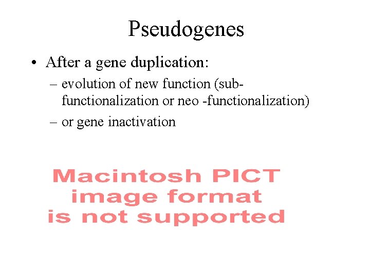 Pseudogenes • After a gene duplication: – evolution of new function (subfunctionalization or neo