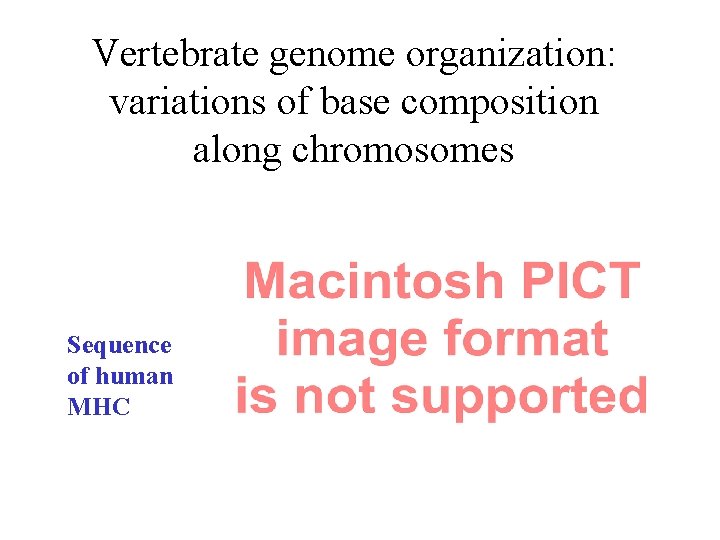 Vertebrate genome organization: variations of base composition along chromosomes Sequence of human MHC 