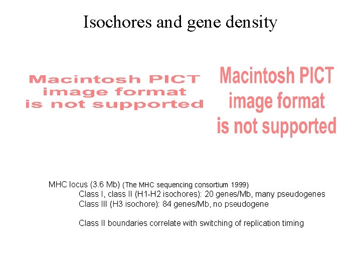 Isochores and gene density MHC locus (3. 6 Mb) (The MHC sequencing consortium 1999)