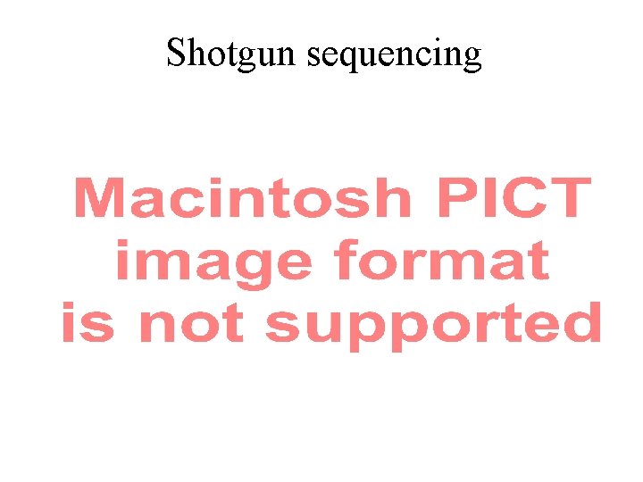 Shotgun sequencing 