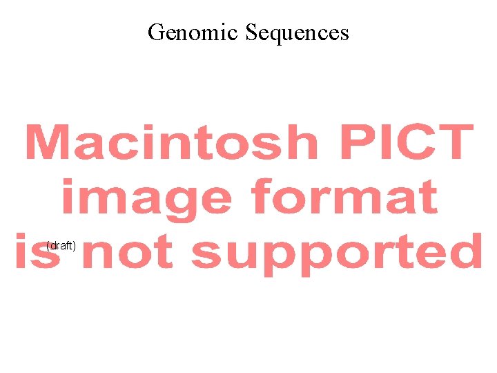 Genomic Sequences (draft) 