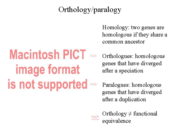 Orthology/paralogy Homology: two genes are homologous if they share a common ancestor Orthologues: homologous