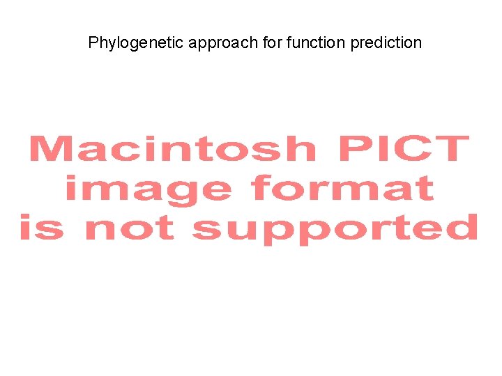 Phylogenetic approach for function prediction 