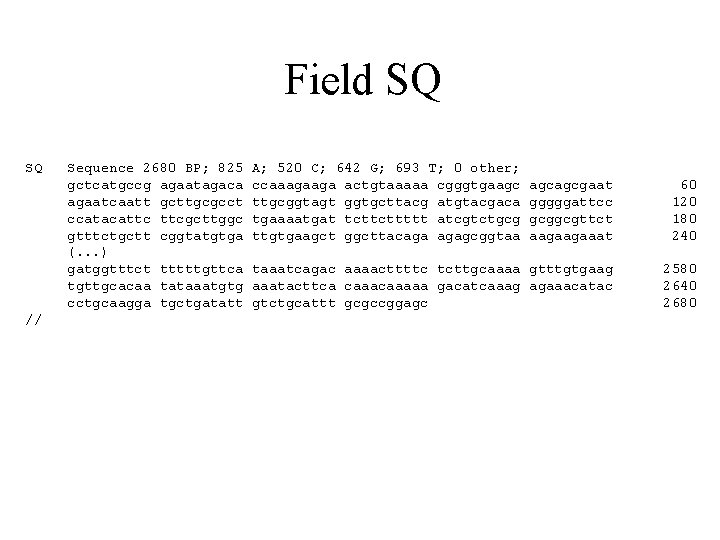 Field SQ SQ // Sequence 2680 BP; 825 gctcatgccg agaatagaca agaatcaatt gcttgcgcct ccatacattc ttcgcttggc