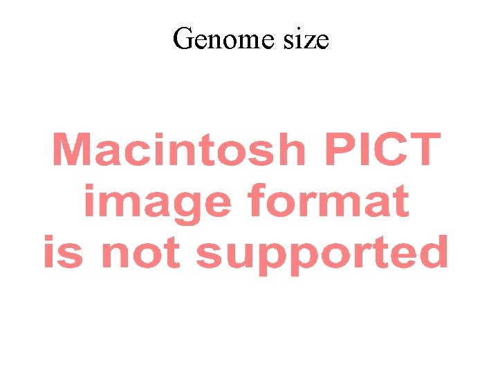 Genome size 