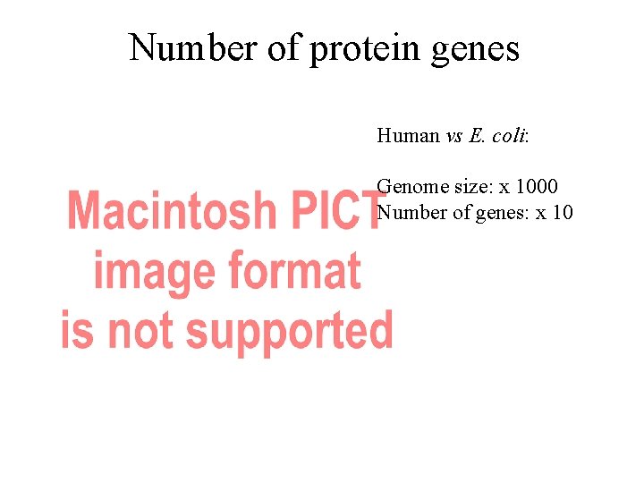 Number of protein genes Human vs E. coli: Genome size: x 1000 Number of