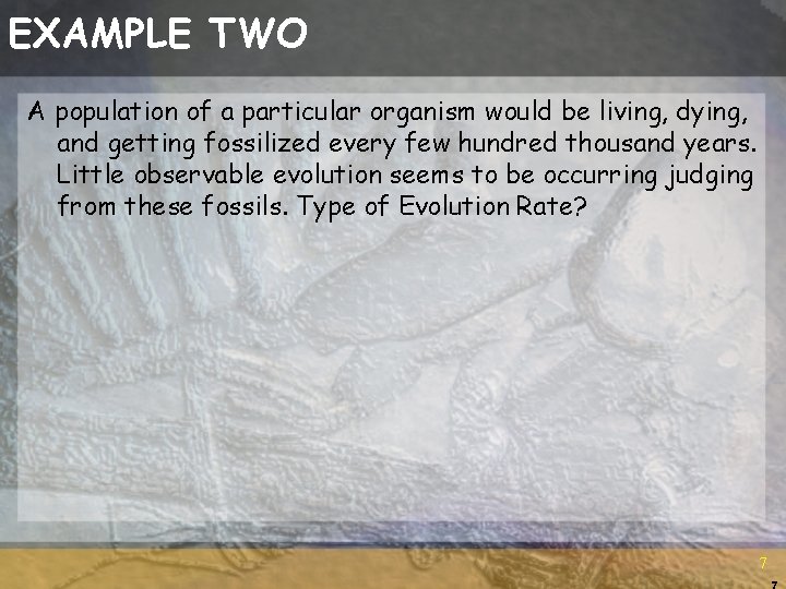 RATES OF EVOLUTION Gradualism and punctuated equilibrium are