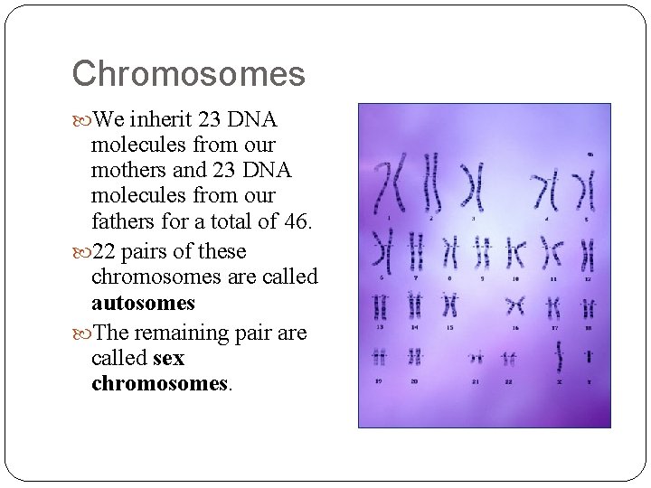 Chromosomes We inherit 23 DNA molecules from our mothers and 23 DNA molecules from