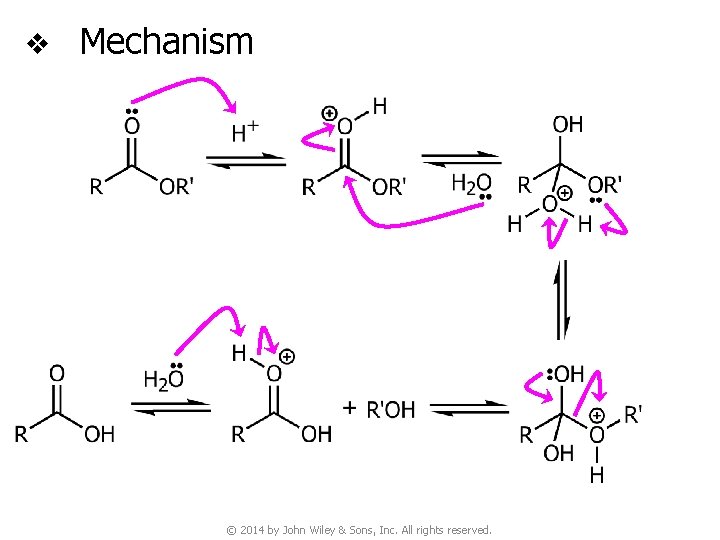 v Mechanism © 2014 by John Wiley & Sons, Inc. All rights reserved. 