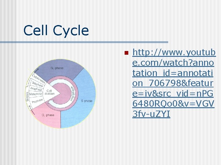 Cell Cycle n http: //www. youtub e. com/watch? anno tation_id=annotati on_706798&featur e=iv&src_vid=n. PG 6480