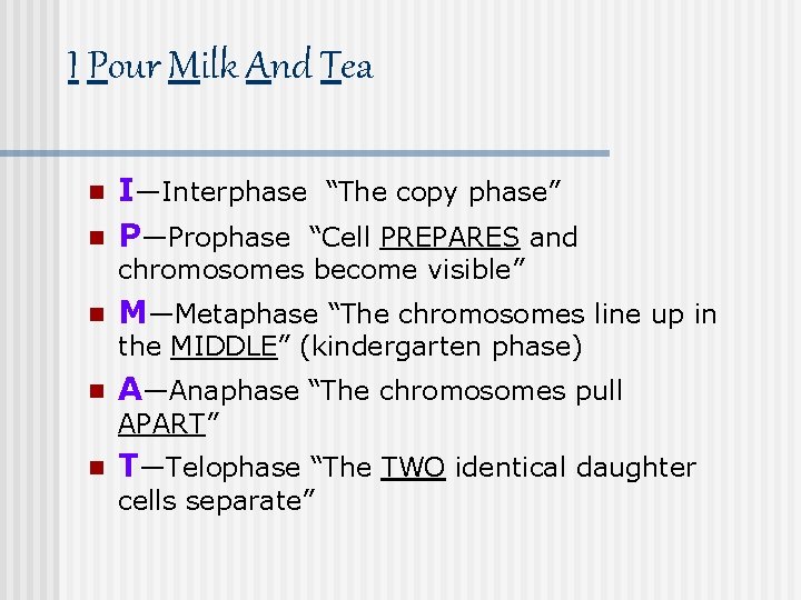 I Pour Milk And Tea n n I—Interphase “The copy phase” P—Prophase “Cell PREPARES