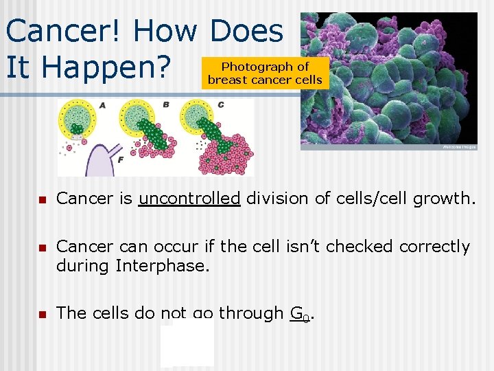 Cancer! How Does It Happen? Photograph of breast cancer cells n Cancer is uncontrolled