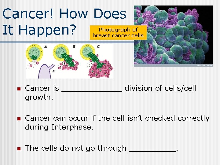 Cancer! How Does It Happen? Photograph of breast cancer cells n Cancer is _______