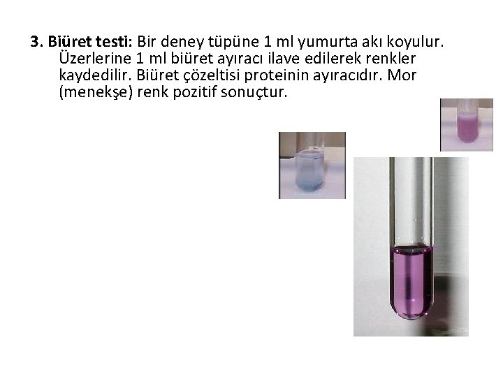 3. Biüret testi: Bir deney tüpüne 1 ml yumurta akı koyulur. Üzerlerine 1 ml