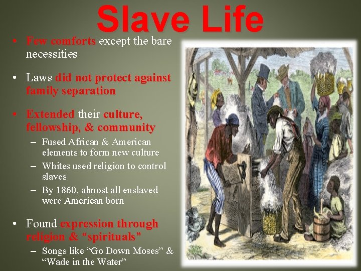 Slave Life • Few comforts except the bare necessities • Laws did not protect