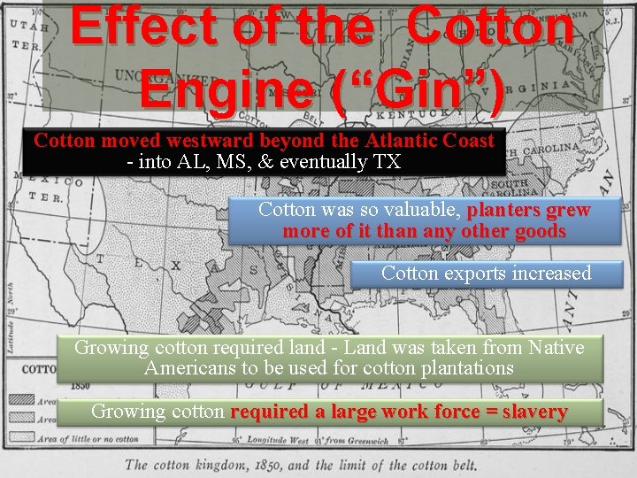 Effect of the Cotton Engine (“Gin”) Cotton moved westward beyond the Atlantic Coast -