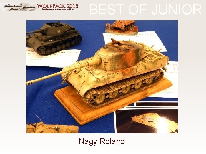 BEST OF JUNIOR Nagy Roland 