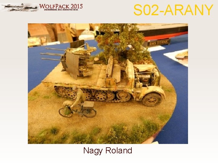 S 02 -ARANY Nagy Roland 