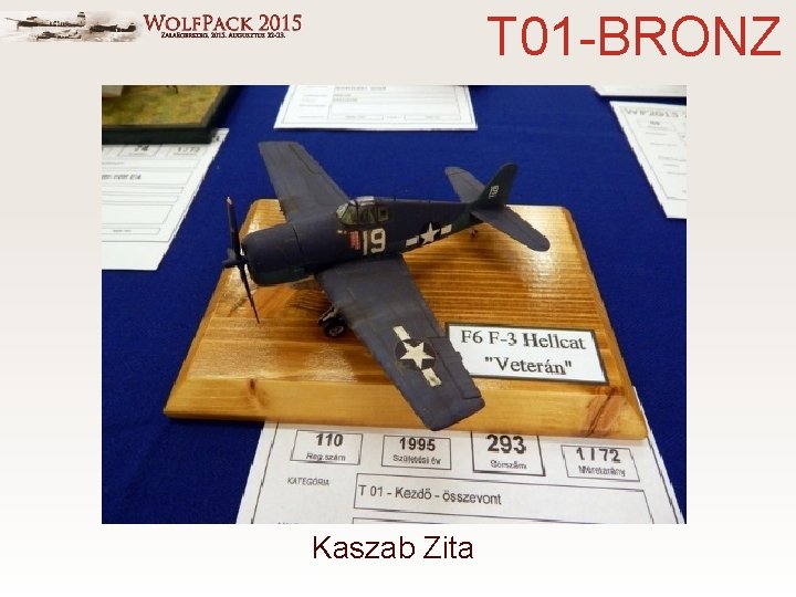 T 01 -BRONZ Kaszab Zita 