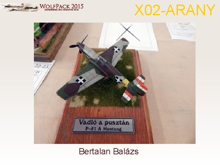 X 02 -ARANY Bertalan Balázs 