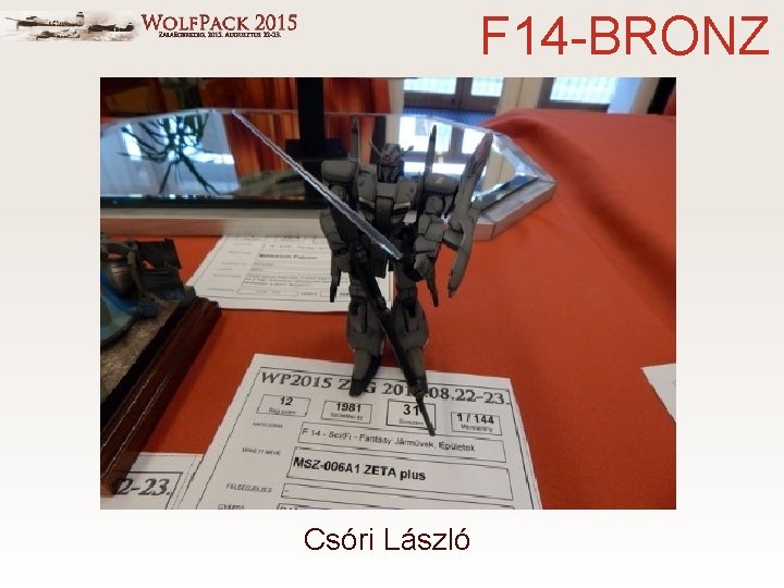 F 14 -BRONZ Csóri László 