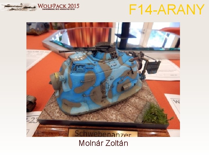 F 14 -ARANY Molnár Zoltán 