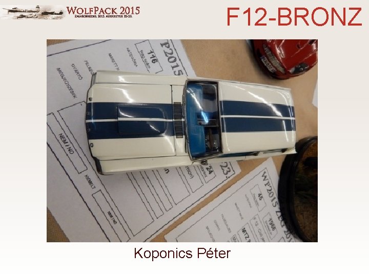 F 12 -BRONZ Koponics Péter 